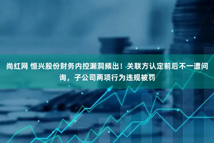 尚红网 恒兴股份财务内控漏洞频出！关联方认定前后不一遭问询，子公司两项行为违规被罚