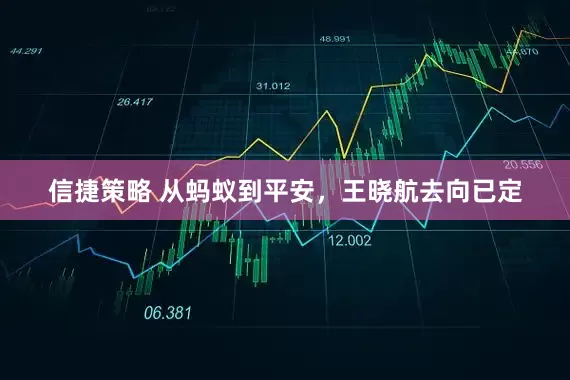 信捷策略 从蚂蚁到平安，王晓航去向已定
