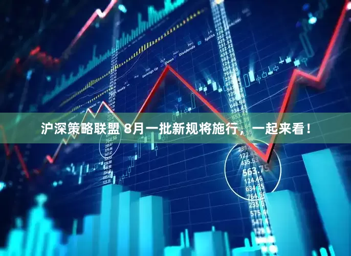 沪深策略联盟 8月一批新规将施行，一起来看！