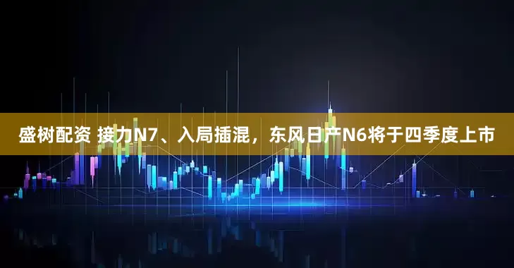 盛树配资 接力N7、入局插混，东风日产N6将于四季度上市