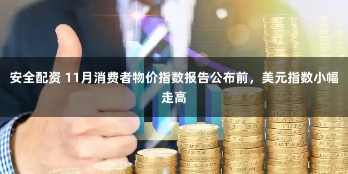 安全配资 11月消费者物价指数报告公布前，美元指数小幅走高