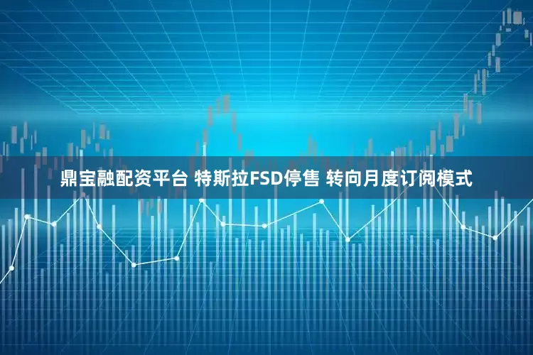 鼎宝融配资平台 特斯拉FSD停售 转向月度订阅模式